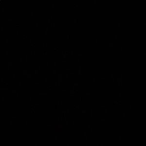 Meet your Posher, Katey